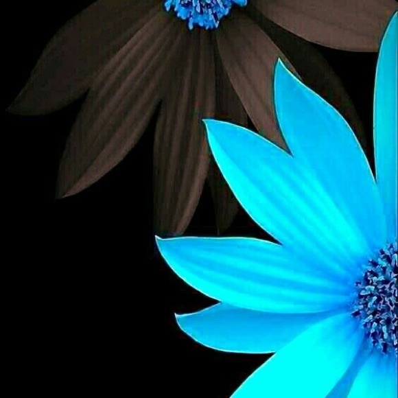 Meet your Posher, Rebekah - Picture 1 of 1